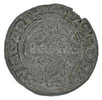 1519K-G Denár Ag "II. Lajos" (0,31g) T:VF, kis kitörés a peremen Hungary 1519K-G Denar Ag "Louis II" (0,31g) C:VF, small crack at the edge Huszár: 841., Unger I.: 673.m