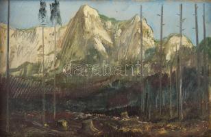 Molnár C. Pál (1894-1981): Ausztrai táj. Olaj, farost, jelezve balra lent: MCP. Hátoldalán Képcsarno...