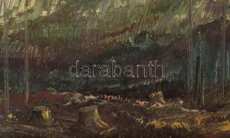 Molnár C. Pál (1894-1981): Ausztrai táj. Olaj, farost, jelezve balra lent: MCP. Hátoldalán Képcsarno...