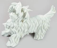 cca 1960 Unterweissbach Skót terrier. Jelzett, hibátlan, 23x18 cm