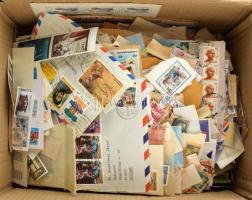 Érdekes, nagyon vegyes, nagyrészt áztatni való külföldi tétel hullámkarton dobozban.