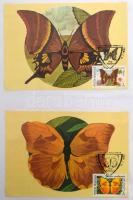 Lepkék, gombák motívum gyűjtemény, borítékok, CM-ek, FDC-k stb iratrendezőben