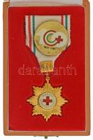 1981. "100 éves a Vöröskereszt" műgyantás bronz kitüntetés, mellszalagon, eredeti díszdobozban, jelvénnyel T:AU patina