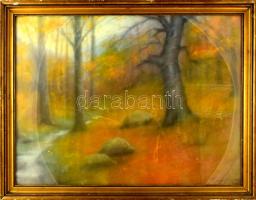 Olvashatatlan jelzéssel: Őszi erdő. Pasztell, papír. Dekoratív, üvegezett, kissé sérült fakeretben. 50x68 cm.