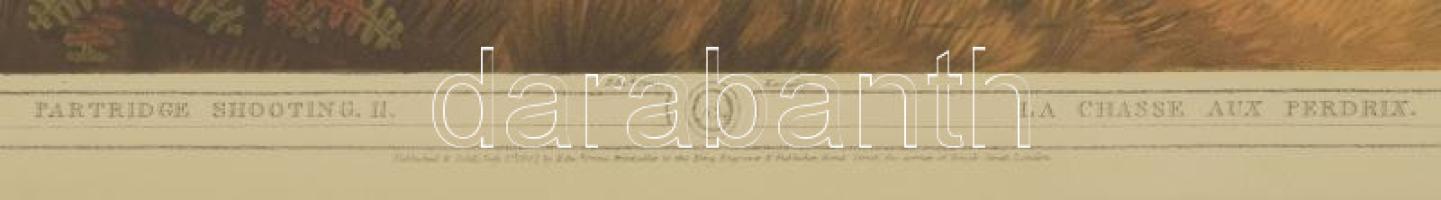 Vadász litográfia. Fogoly vadászat. Nagy méretű litográfia. Howit festménye alapján, üvegezett keret...