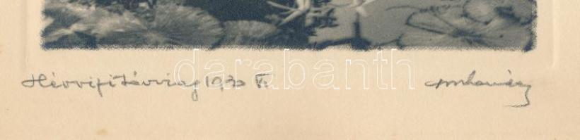 1930 Orphanidesz János (1876-1939): Hévizi tóvirág jelzett vintage fotóművészeti alkotás, művészfóli...