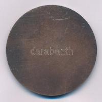 Cyránszki Mária (1940-2018) 1975. "Dunaújváros 1950-1975" egyoldalas bronzozott Al emlékér...