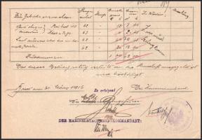 1916 Dunai Flottila.Pb. PILLANGO nagyon ritka hajó hivatalos okmánya, szakirodalomban ismeretlen pec...