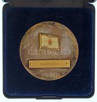 1997. "A Magyar Atlétikai Szövetség Jubileumára 1897-1997" egyoldalas emlékérem műgyantás- és névre szóló rátétekkel, eredeti dísztokban T:XF, patina/korrózió