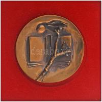 DN (1980 k.) "A Magyar Szocialista Felnőttoktatás 30 éves Jubileumára" kétoldalas, öntött bronz emlékérem eredeti dísztokban (103mm) T:AU