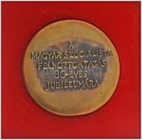 DN (1980 k.) "A Magyar Szocialista Felnőttoktatás 30 éves Jubileumára" kétoldalas, öntött ...