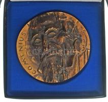 DN "Comenius / Sárospatak város önkormányzata" kétoldalas, öntött bronz emlékérem eredeti dísztokban (~110mm) T:AU