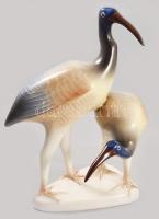 Hollóházi Íbiszpár. Jelzett, kézzel festett, hibátlan, m: 17 cm