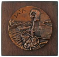 DN "Baja" egyoldalas, öntött bronz horgász / halász emlékérem, falra akasztható fa talapzaton (érem: 101mm ; talapzat: ~129x132mm) T:AU