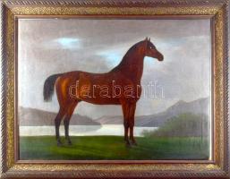 Jelzés nélkül, XIX. sz. magyar festő: Ló portré, Dunakanyar. Olaj, vászon. Restaurált, dublírozott. Dekoratív fakeretben. 56x74 cm