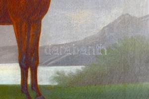 Jelzés nélkül, XIX. sz. magyar festő: Ló portré, Dunakanyar. Olaj, vászon. Restaurált, dublírozott. ...