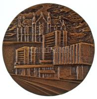DN "Kecskemét Város Tanácsa" kétoldalas, öntött bronz emlékérem (80mm) T:AU