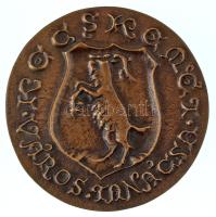 DN "Kecskemét Város Tanácsa" kétoldalas, öntött bronz emlékérem (80mm) T:AU