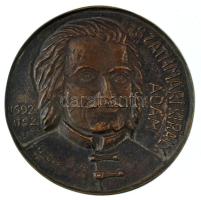 1992. "Szathmári Király Ádám 1692-1752" egyoldalas, öntött bronz emlékplakett. Szign.: "BA" (82mm) T:AU Hungary 1992. "Ádám Szathmári Király 1692-1752" two-sided, cast bronze commemrative plaque. Sign.: "BA" (82mm) C:AU