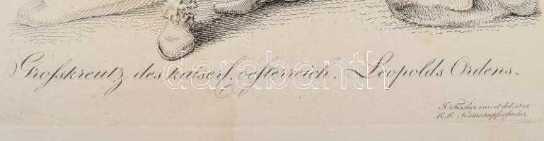 [A Lipót rend nagykeresztje] Grosskreutz der kaiser. oesterreich. Leopolds Orden. Wien, 1808. T. Fis...