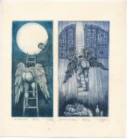 Vén Zoltán (1941-), 2 db mű egy lapon: Jákob létrája. Rézmetszet, papír. Jelzett. Művészpéldány EA jelzéssel. 16x7 és 16x8,5 cm