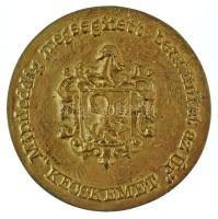 Asszonyi Tamás (1942-) 1984. ""Mindeddig megsegített minket az úr" / 1684-1984" kétoldalas, öntött bronz emlékplakett, a Kecskeméti Református Templom 300 éves évfordulójára kiadva (100mm) T:AU