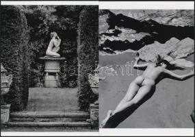 cca 1980 "Természetközelben", szolidan erotikus felvételek, 2 db modern nagyítás, jelzés nélkül, 21x15 cm