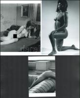 cca 1970 előtt készült felvételek, "Fotómodellek találkozása egy tételben", szolidan erotikus fotográfiák, 3 db modern nagyítás, jelzés nélkül, 21x15 cm és 15x10 cm