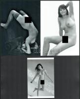 cca 1980 előtt készült felvételek, "Fiatalok és szépek", szolidan erotikus fotográfiák, 5 db modern nagyítás, jelzés nélkül, 21x15 cm és 15x10 cm