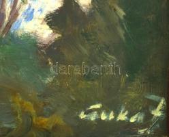 Olvashatatlan (Csuka?) jelzéssel: Lány hazafelé. Olaj, fa. Fakeretben, 48x65 cm