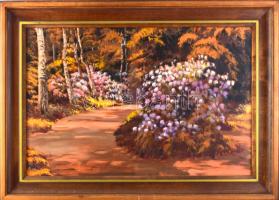 Bodor Miklós (1925-2010): Jeli hangulat (arborétum). Olaj, farost, jelzett, fakeretben. 40×60 cm