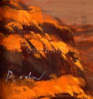 Bodor Miklós (1925-2010): Jeli hangulat (arborétum). Olaj, farost, jelzett, fakeretben. 40×60 cm