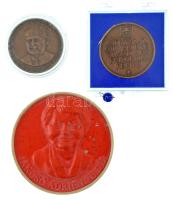 Lapis András (1942-) 1983. "MÉE Szeged - Komócsin Zoltán születésének 60. évfordulójára / Hűség a néphez, hűség a párthoz" kétoldalas bronz emlékérem karcos kapszulában (42,5mm) + 1981. "A Magyar Éremgyűjtők Egyesülete / Négyszázötven éve világít a pápai Schola fénye" kétoldalas bronz emlékérem, repedt, plombált műanyag tokban (42,5mm) + DN "Jancsó Adrienne Díj" egyoldalas műanyag érdemérem (79mm) T:UNC,XF, kis patina