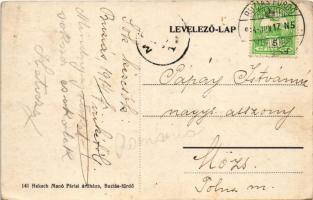 1914 Buziásfürdő, Baile Buzias; Eusch villa. Heksch Manó kiadása / villa (kopott sarkak / worn corne...