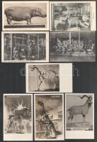 Wien, Vienna, Bécs - 10 pre-1945 postcards: Natural History Museum