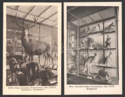 Wien, Vienna, Bécs - 10 pre-1945 postcards: Natural History Museum