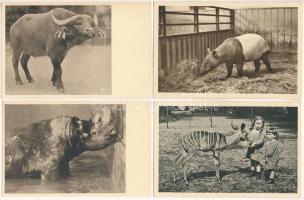Wien, Vienna, Bécs - 4 pre-1945 animal postcards: Schönbrunn Tiergarten, Zoo
