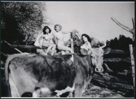 cca 1950 "Baromarc, belegyalogáltál a felvételbe!", szolidan erotikus felvétel, 1 db modern nagyítás, jelzés nélkül, 15x21 cm