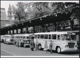 cca 1960 Budapest, az Engels téri autóbuszállomás Ikarus járművekkel, 1 db modern nagyítás, jelzés nélkül, 15x21 cm
