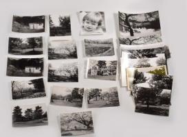 ca 1974 Nemere László (1928-2005) filmrendező 31 db fotó a művészről, telkükről, kertjéről. 24x16 cm...