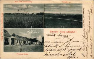 1900 Budapest XXII. Nagytétény, Nagy-Tétény; Diósárok (Diós árok) nyaralótelep, látkép, Fő utca, Tóth József cipész, Szakály Károly üzlete. Szakály és Pentz kiadása (EB)