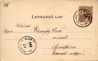 1900 Budapest XXII. Nagytétény, Nagy-Tétény; Diósárok (Diós árok) nyaralótelep, látkép, Fő utca, Tót...