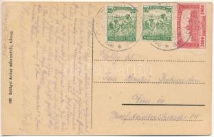 1925 Földsziget, Csorna; Iskola, Szesz- és keményítőgyár, Urasági lak, Intézői lak. Szilágyi Arthur ...