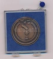 Lapis András (1942-) 1979. "Az ár betört! 1879 Március 12. éjfél után 2 óra - Száz évvel ezelőt...