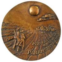 Várhelyi György (1942-) DN "A Munkásőrség Országos Parancsnokától" egyoldalas öntött bronz plakett (145mm) T:AU