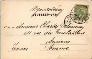 1902 Szarvas, Gróf Bolza kastély. Farkas Soma kiadása (EB)