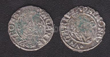 I.Ferdinánd 1526-1564. Denár Ag (2x) klf évszámmal T:3