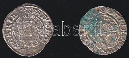 I.Ferdinánd 1526-1564. Denár Ag (2x) klf évszámmal T:3