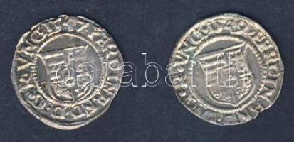 I.Ferdinánd 1526-1564. Denár Ag (2x) klf évszámmal T:3