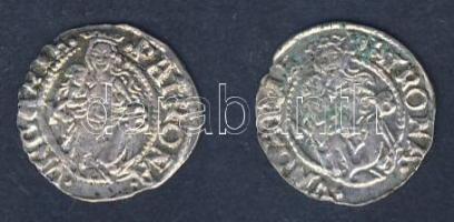 I.Ferdinánd 1526-1564. Denár Ag (2x) klf évszámmal T:3